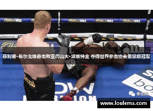 菲利普·希尔戈维奇击败亚历山大·波维特金 夺得世界拳击协会重量级冠军 菲利普·希尔戈维奇击败亚历山大·波维特金 夺得世界拳击协会重量级冠军
